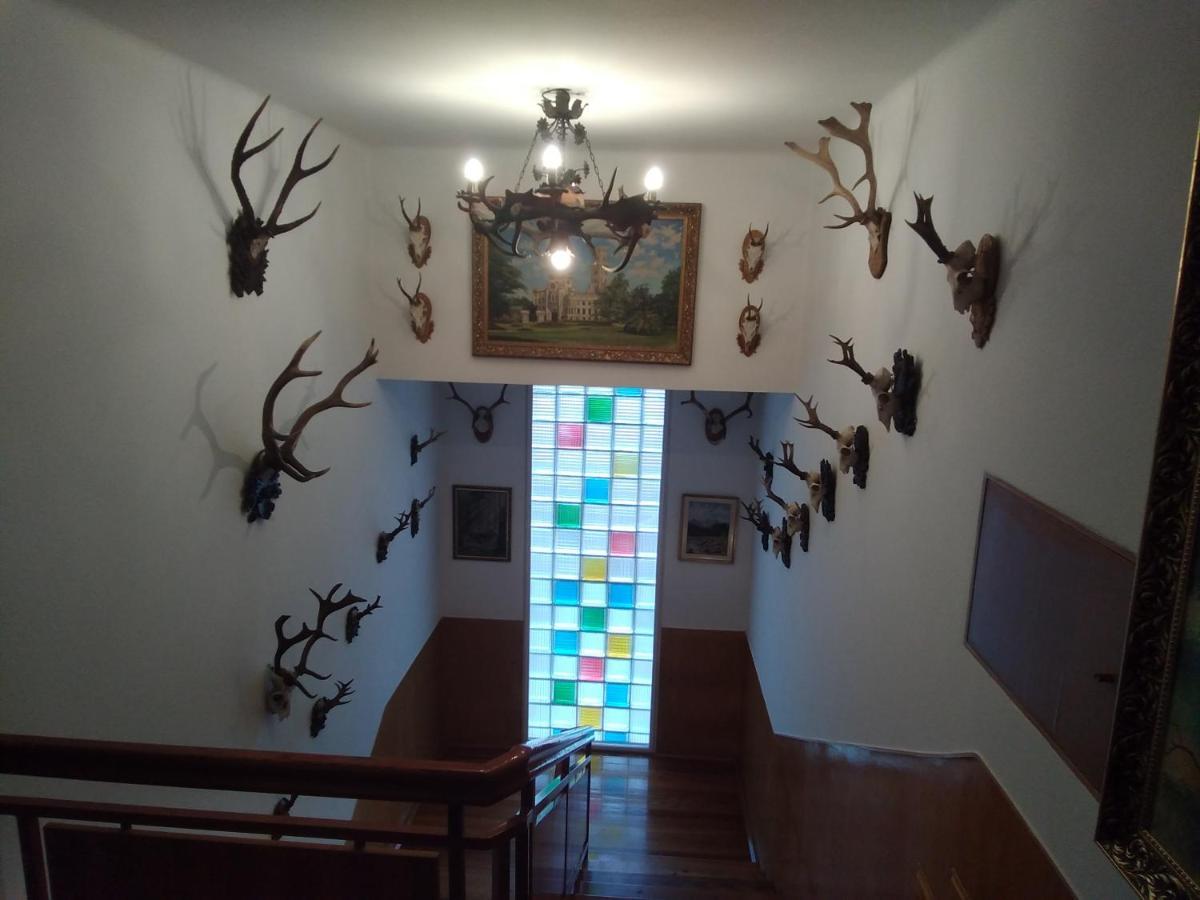 Apartma Hluboka *